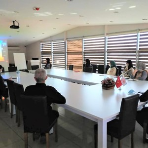 Meslek Elemanlarına Yönelik "Çocuklarda Cinsellik ve Mahremiyet Eğitimi" Gerçekleştirildi. - fotoğraf 1