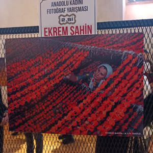 8 Mart Dünya Kadınlar Günü Etkinliklerimiz. - fotoğraf 9