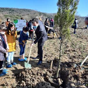 Mercan Hatıra Ormanı Fidan Dikim Etkinliği Düzenlendi. - fotoğraf 2