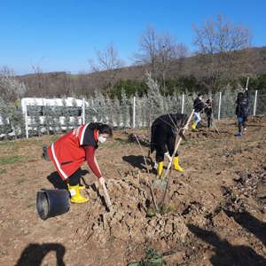 Mercan Hatıra Ormanı Fidan Dikim Etkinliği Düzenlendi. - fotoğraf 4