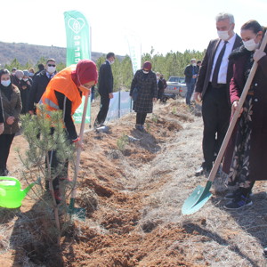Mercan Seferberliği - fotoğraf 3