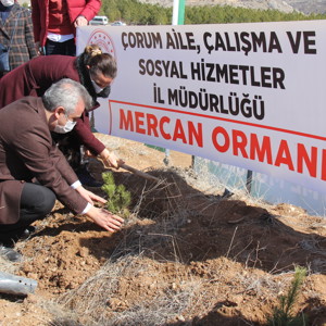 Mercan Seferberliği - fotoğraf 4