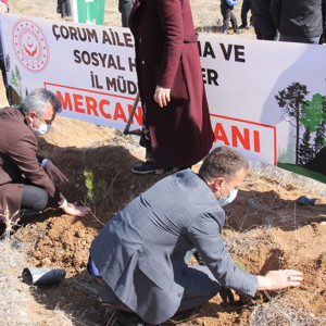Mercan Seferberliği - fotoğraf 5