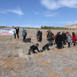 Mercan Seferberliği - fotoğraf 6