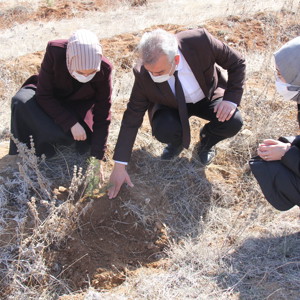 Mercan Seferberliği - fotoğraf 9
