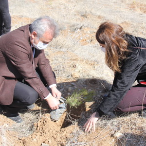 Mercan Seferberliği - fotoğraf 11