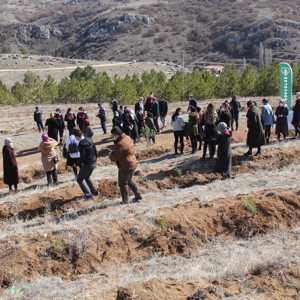 Mercan Seferberliği - fotoğraf 12