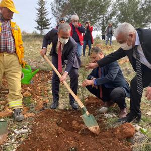 Mercan Hatıra Ormanı Oluşturuldu - fotoğraf 4