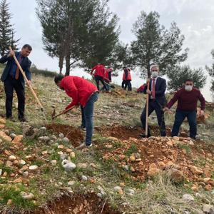 Mercan Hatıra Ormanı Oluşturuldu - fotoğraf 5
