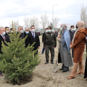 Her Fidan Bir Can  “Mercan Ormanları”  - fotoğraf 5