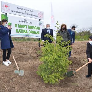Edirne İlimizde “Mercan Hatıra Ormanı” Oluşturuldu - fotoğraf 5