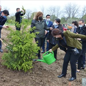 Edirne İlimizde “Mercan Hatıra Ormanı” Oluşturuldu - fotoğraf 17