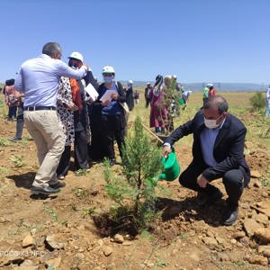 Bingöl’e Nefes, Kadına Şiddete Ses “Mercan Ormanı” - fotoğraf 4