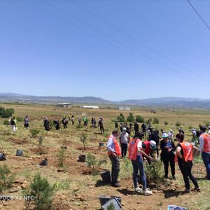 Bingöl’e Nefes, Kadına Şiddete Ses “Mercan Ormanı” - fotoğraf 10