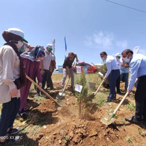 Bingöl’e Nefes, Kadına Şiddete Ses “Mercan Ormanı” - fotoğraf 13