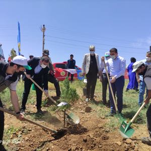 Bingöl’e Nefes, Kadına Şiddete Ses “Mercan Ormanı” - fotoğraf 16