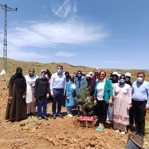 Bingöl’e Nefes, Kadına Şiddete Ses “Mercan Ormanı” - fotoğraf 12