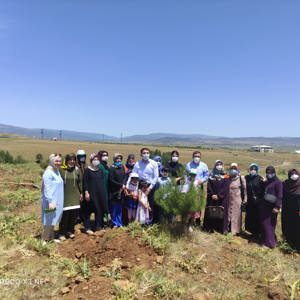 Bingöl’e Nefes, Kadına Şiddete Ses “Mercan Ormanı” - fotoğraf 20