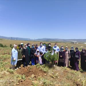 Bingöl’e Nefes, Kadına Şiddete Ses “Mercan Ormanı” - fotoğraf 23