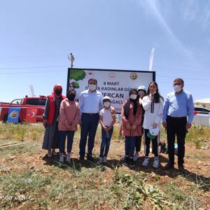 Bingöl’e Nefes, Kadına Şiddete Ses “Mercan Ormanı” - fotoğraf 2
