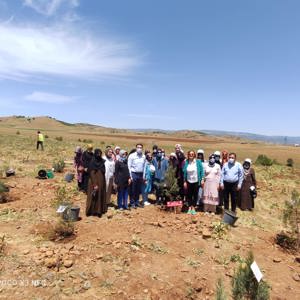 Bingöl’e Nefes, Kadına Şiddete Ses “Mercan Ormanı” - fotoğraf 28