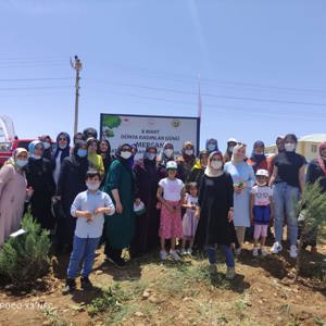 Bingöl’e Nefes, Kadına Şiddete Ses “Mercan Ormanı” - fotoğraf 29