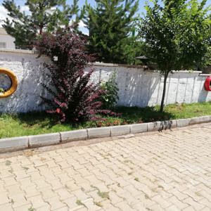 Kadınlara Yönelik Hizmetlerde İhtisaslaşma Çalışmaları Yapıldı - fotoğraf 1