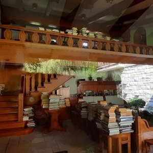Çevre Koruma Haftası’nda Karaca Arboretum Canlı Ağaç Müzesi Gezildi. - fotoğraf 6