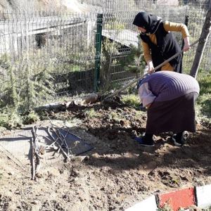 BAKIM VE REHABİLİTASYON MERKEZİNDE ''BAHAR'' - fotoğraf 1