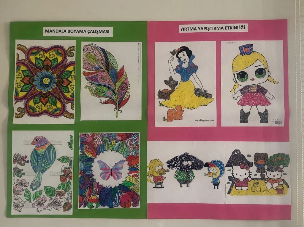 Konukevimizde Günlük Aktiviteler