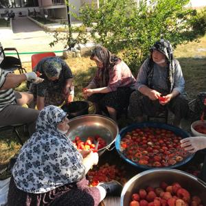 Huzurevi Sakinleri Hasatta Buluştu - fotoğraf 3