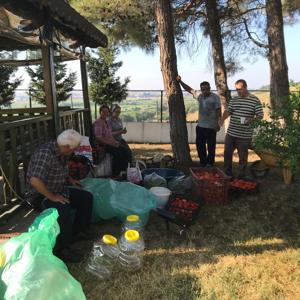 Huzurevi Sakinleri Hasatta Buluştu - fotoğraf 4
