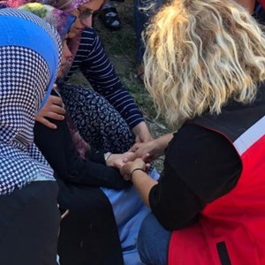 Orman Yangınları ve Sel Felaketlerine İlişkin Psikososyal Destek Çalışmaları Devam Ediyor - fotoğraf 3