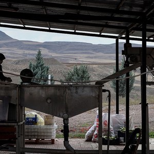 Türk Kadınlarının Ürettiği Ev Salçaları Avrupa Pazarında İlgi Görüyor - fotoğraf 5