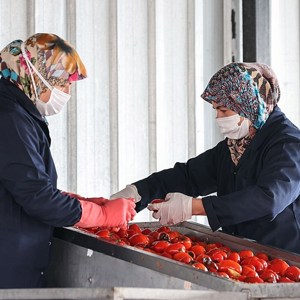 Türk Kadınlarının Ürettiği Ev Salçaları Avrupa Pazarında İlgi Görüyor - fotoğraf 1