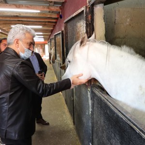          Sayın Valimiz, Engelsiz Yaşam Bakım Rehabilitasyon ve Aile Danışma Merkezindeki Kızlarımız İle Binicilik Kulübünde Bir Araya Geldi. - fotoğraf 3