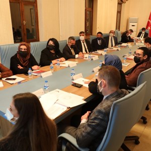Kadına Yönelik Şiddetle Mücadele İzleme ve Değerlendirme 2021 Yılı 3. Dönem Toplantısı Gerçekleştirilmiştir. - fotoğraf 5