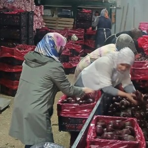 15 Ekim Dünya Çiftçi Kadınlar Günü Kutlu Olsun! - fotoğraf 1